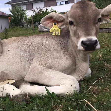 Apartmán Claudi's Radl Stadl Kressbronn am Bodensee